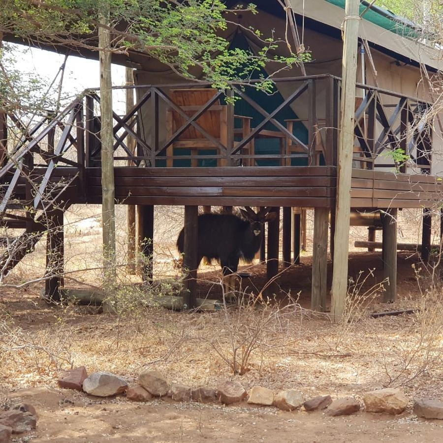 Kelora Bush Camp 호텔 호에드스프뤼트 외부 사진