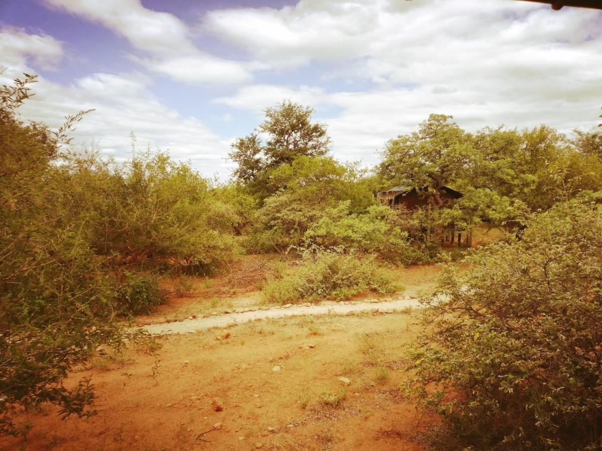 Kelora Bush Camp 호텔 호에드스프뤼트 외부 사진