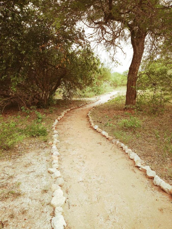 Kelora Bush Camp 호텔 호에드스프뤼트 외부 사진