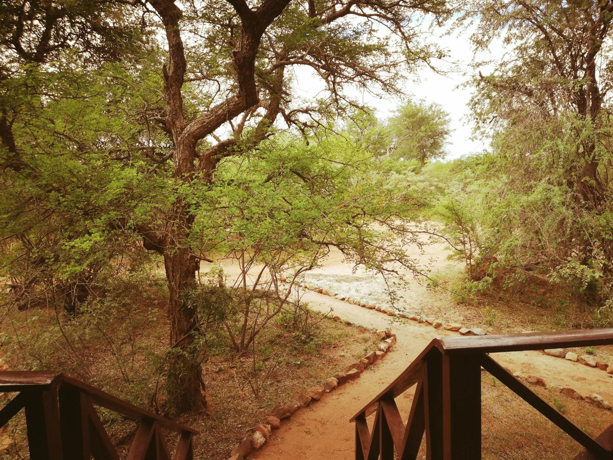 Kelora Bush Camp 호텔 호에드스프뤼트 객실 사진